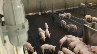 Union Farms: A leading pork producer achieves carbon neutrality in the name of sustainability